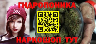 индика Заволжье