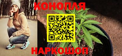 индика Заволжье